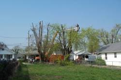 Fully equipped tree service in Lexington, Nicholasville and Versailles
